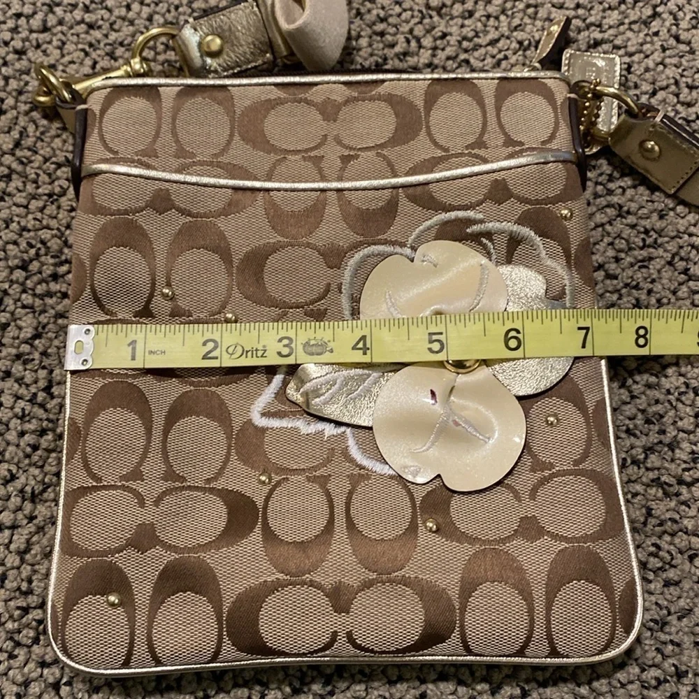 Coach Crossbody Bag in GUC